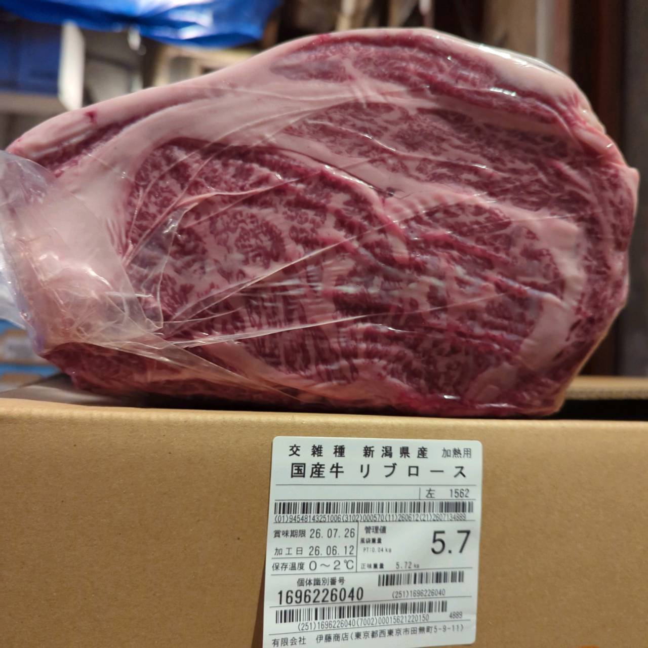 【スポットセール】冷蔵 　国産交雑牛 リブロース　 1562左 5.7kg 　単価4,860/kg（税込）