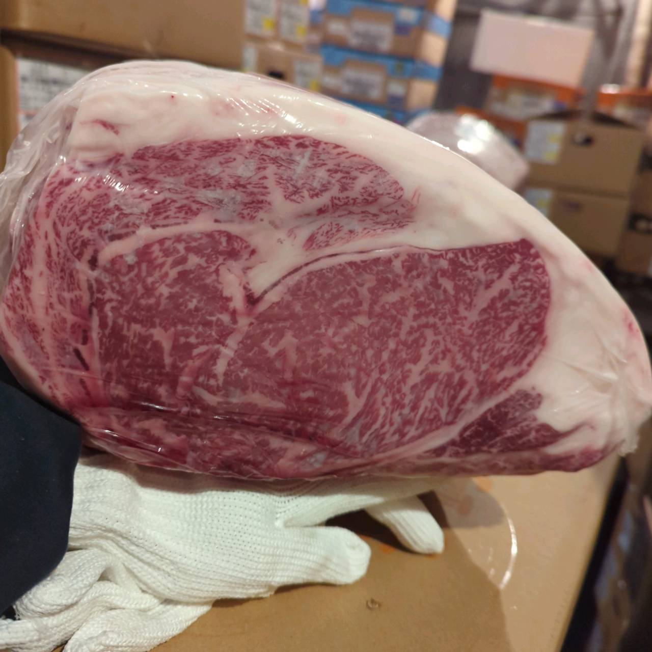 【写真現物】冷蔵 　国産交雑牛 リブロース　 192右 10.3kg 　単価5,200/kg（税込）