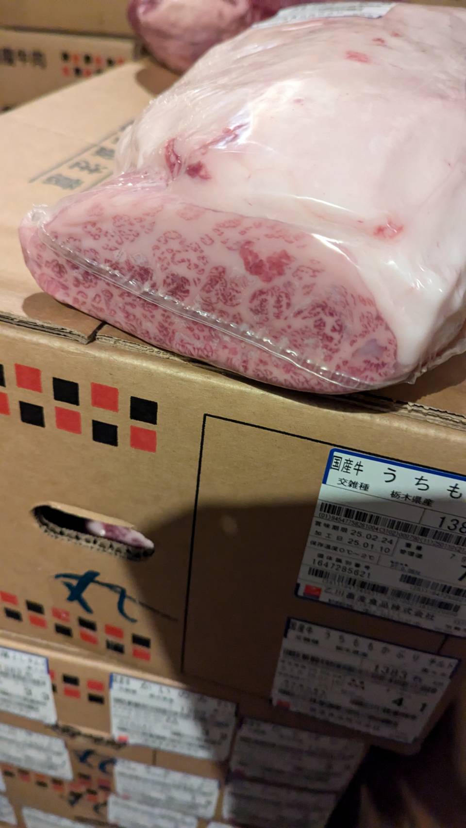 年明け　交雑ウデ　分割