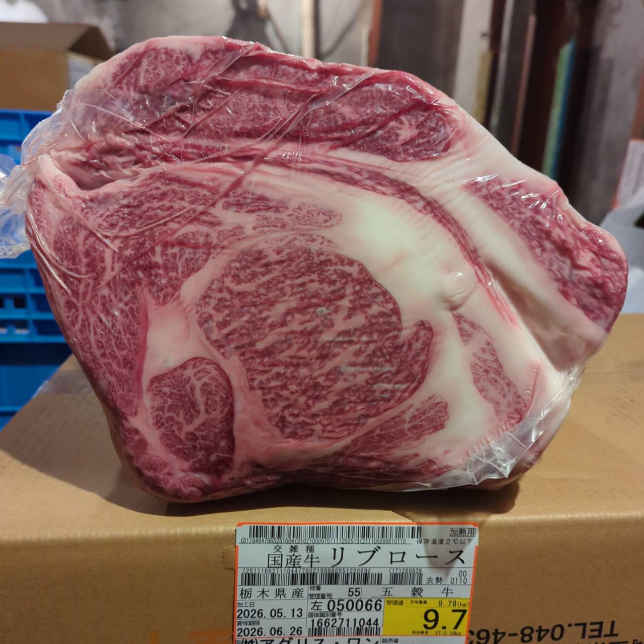 冷蔵 交雑牛リブロース 　栃木県産 　55左　9.7kg   単価¥5200/kg 賞味期限2026/6/26