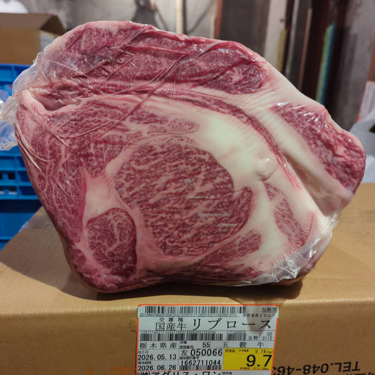 【スポットセール】冷蔵　交雑牛リブロース 　栃木県産 　55左　9.7kg   単価¥4860/kg 賞味期限2026/6/26