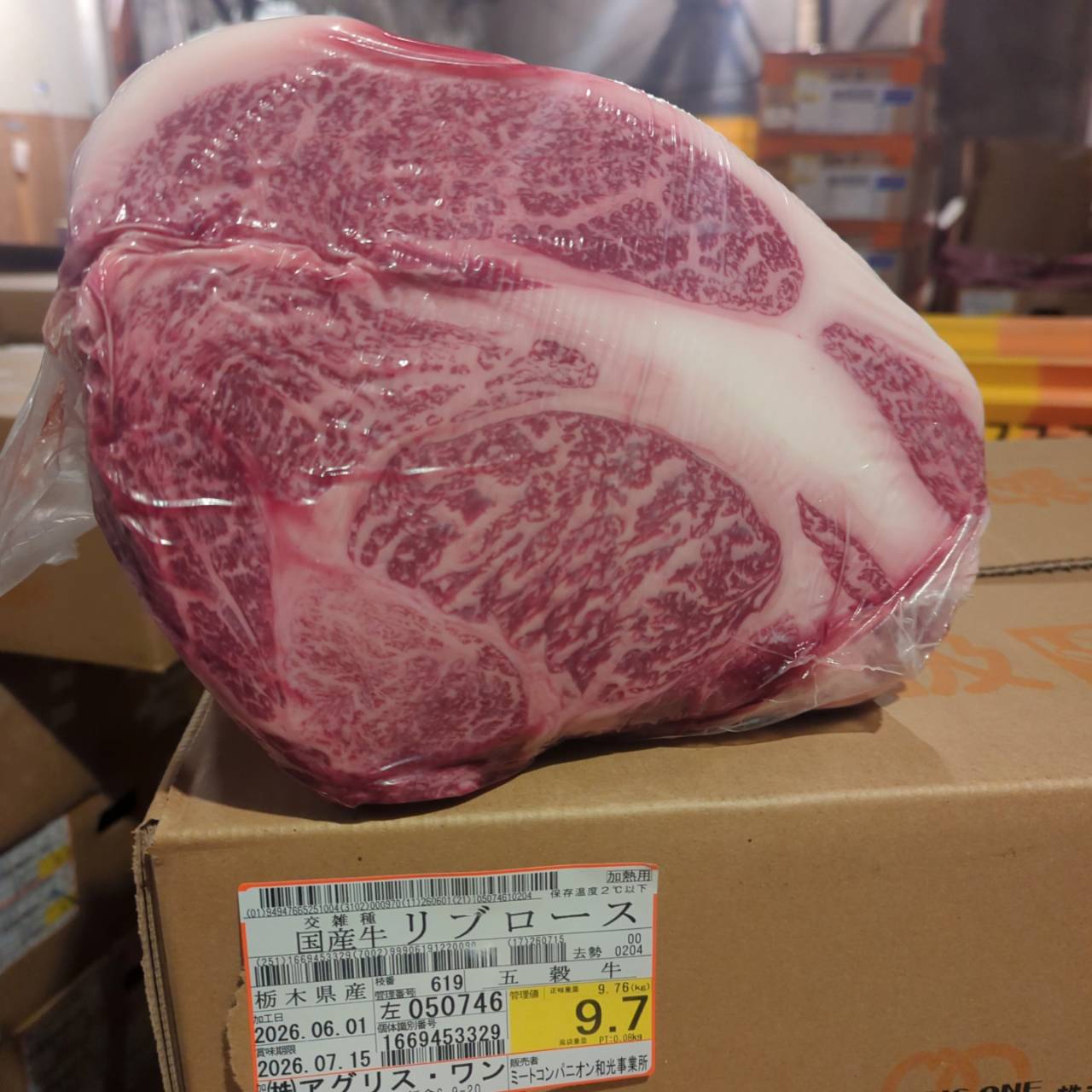 【新着】冷蔵 交雑牛リブロース 　 栃木県産　9.7kg　619左　単価¥5200/kg 賞味期限2026/7/15