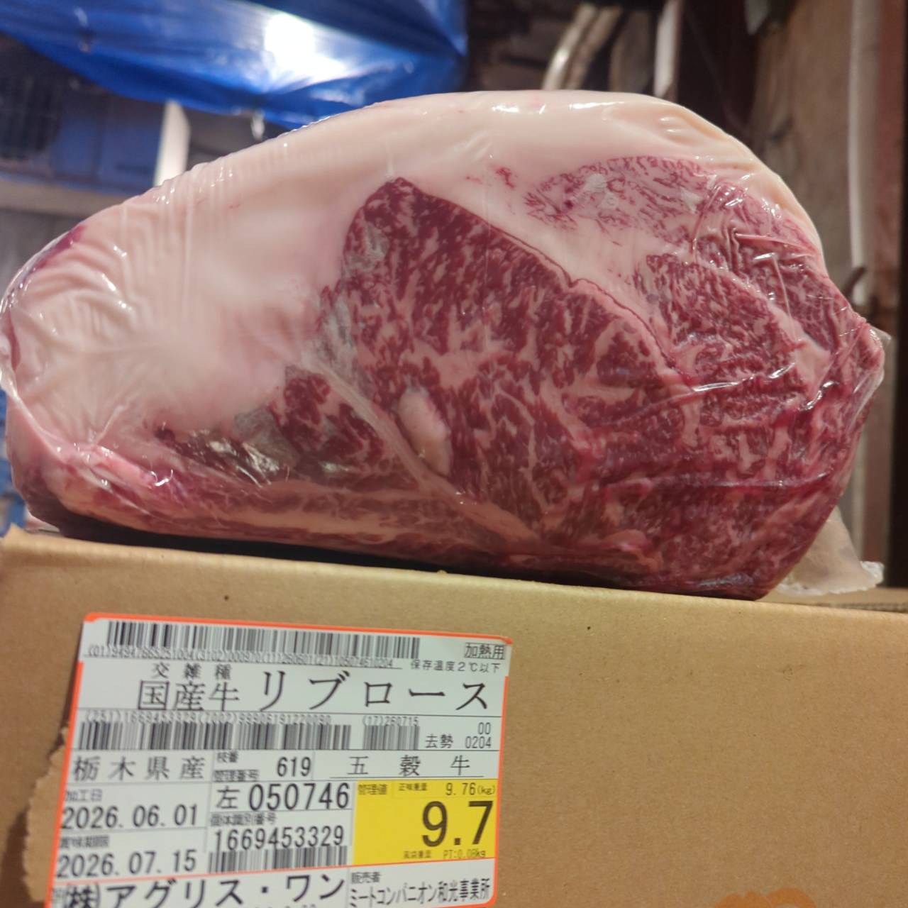 【新着】冷蔵 交雑牛リブロース 　 栃木県産　9.7kg　619左　単価¥5200/kg 賞味期限2026/7/15