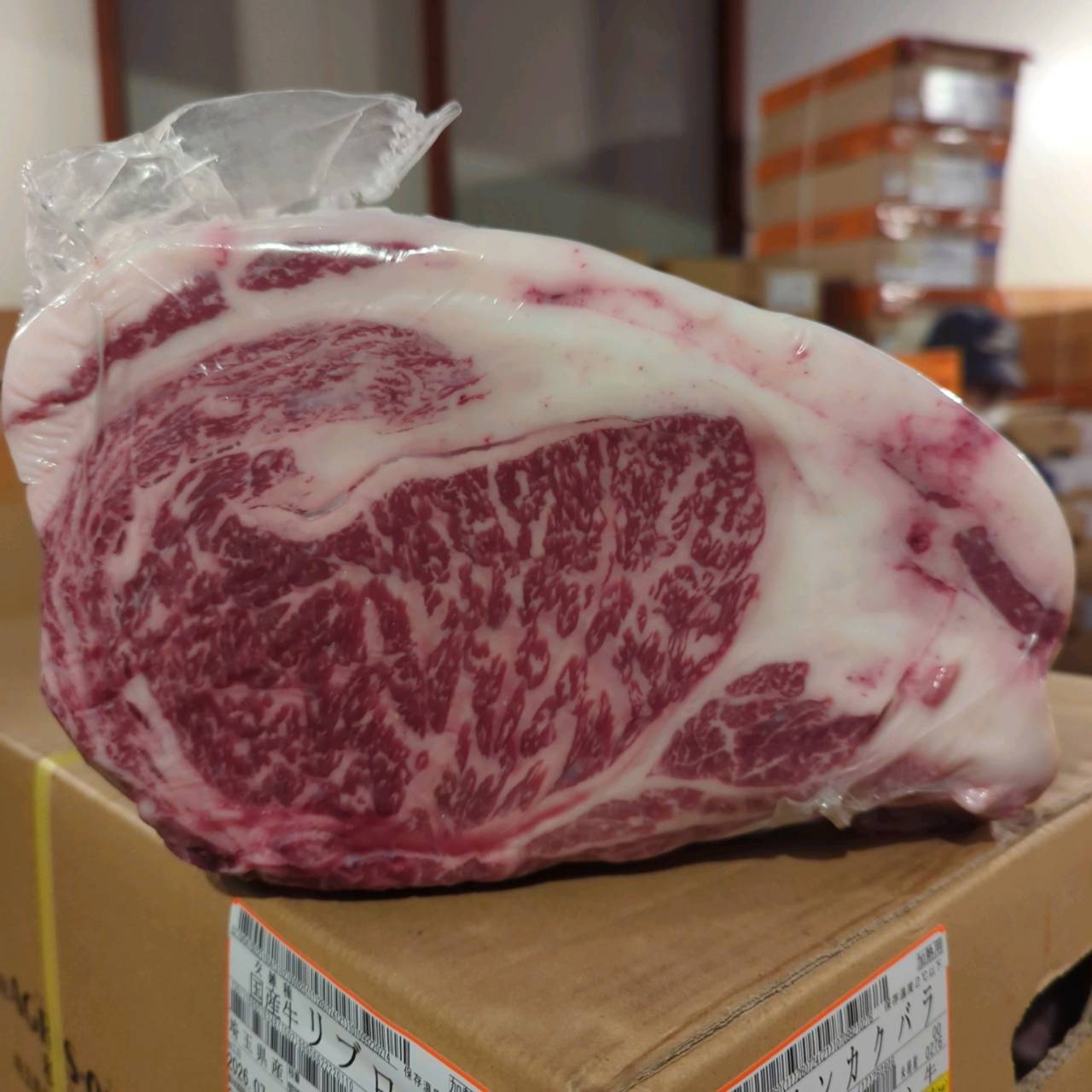 【写真現物】国産交雑牛 リブロース　4番クラス　冷蔵　662右　9.2kg 　単価5,200/kg（税込）