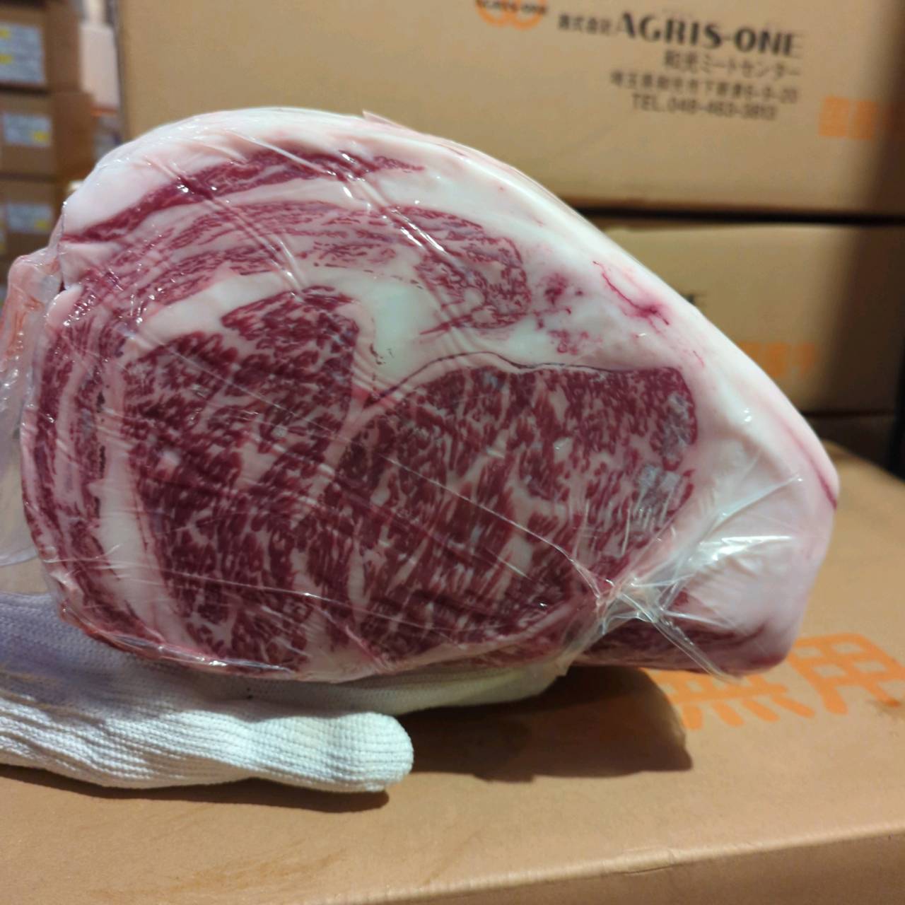 【写真現物】冷蔵 　国産交雑牛 リブロース　 887右 9.8kg 　単価5,200/kg（税込）