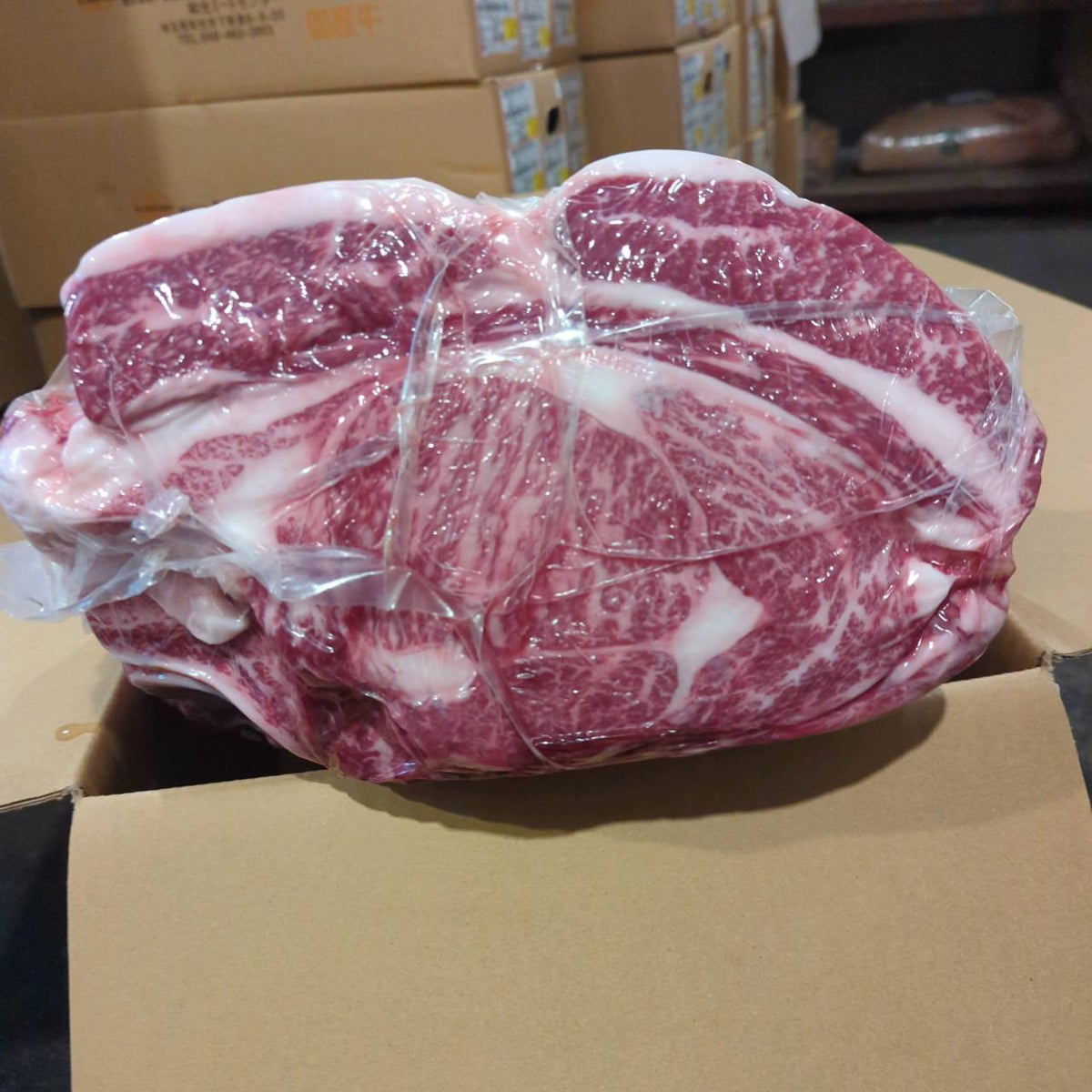 【写真現物】冷蔵 　国産交雑牛 肩ロース　511左　25.1kg 　単価3,850/kg（税込）