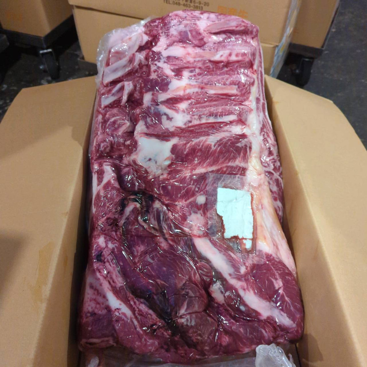 【写真現物】冷蔵 　国産交雑牛 肩ロース　511左　25.1kg 　単価3,850/kg（税込）