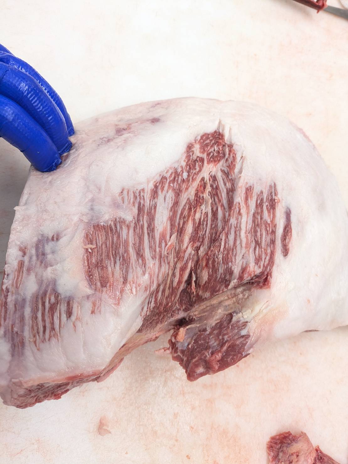 【写真現物】※訳あり　冷蔵 　国産交雑牛ソトモモ　 886右　5.5kg 　単価3,380/kg（税込）
