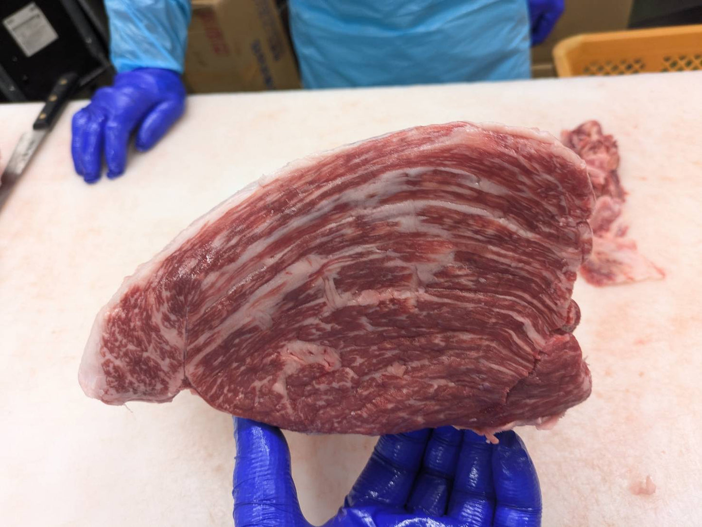 【写真現物】※訳あり　冷蔵 　国産交雑牛ソトモモ　 886右　5.5kg 　単価3,380/kg（税込）