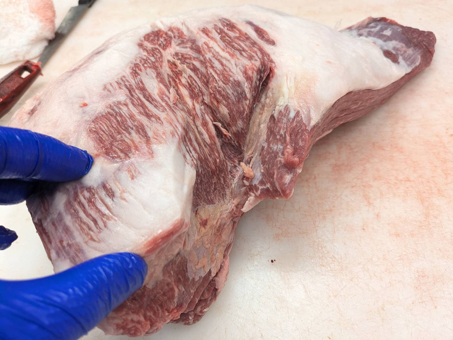 【写真現物】※訳あり　冷蔵 　国産交雑牛ソトモモ　 886右　5.5kg 　単価3,380/kg（税込）