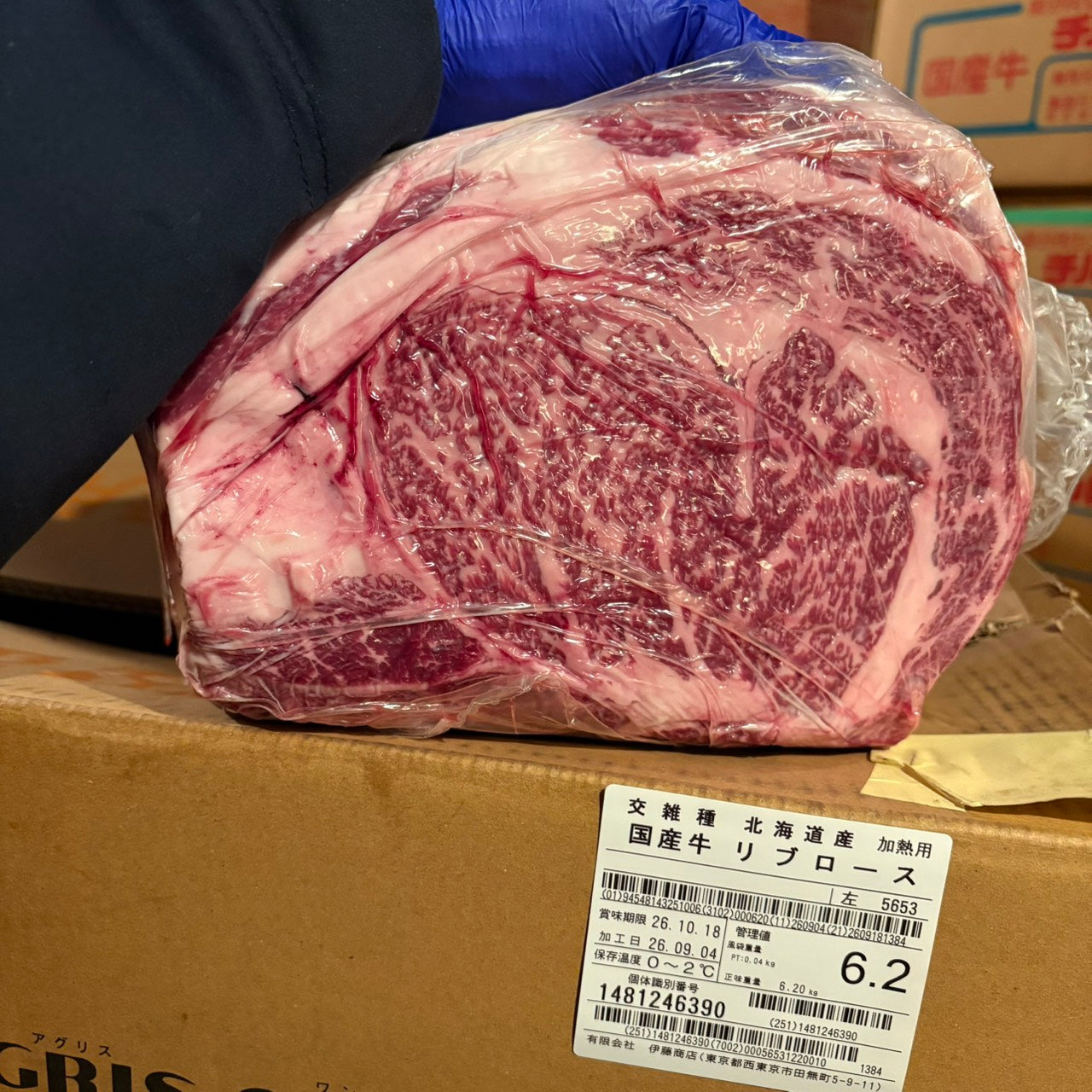 【写真現物】冷蔵 　国産交雑牛 リブロース　5653左　6.2kg 　単価5,200/kg（税込）