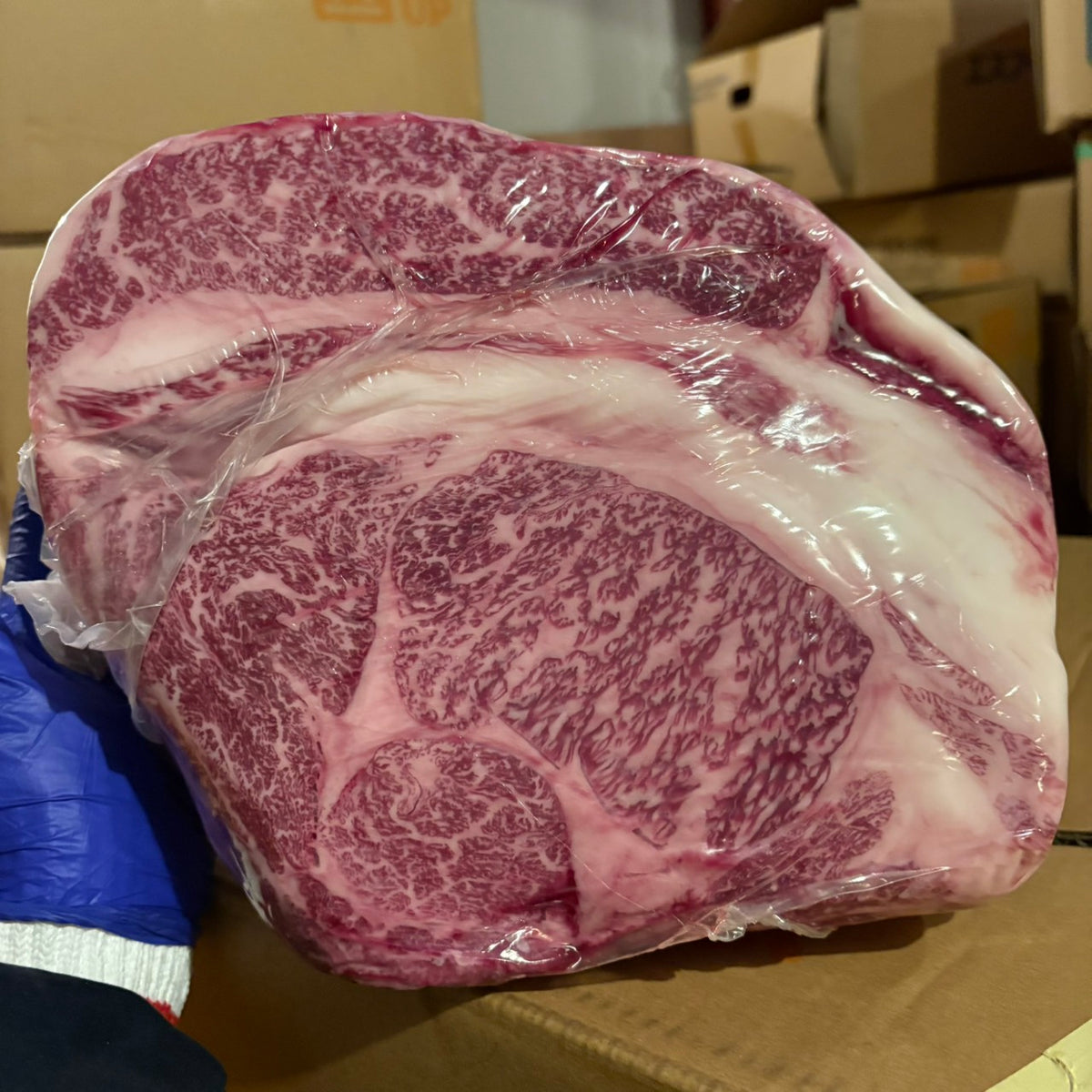 【写真現物】冷蔵 　国産交雑牛 リブロース　36左　10.1kg 　単価5,200/kg（税込）