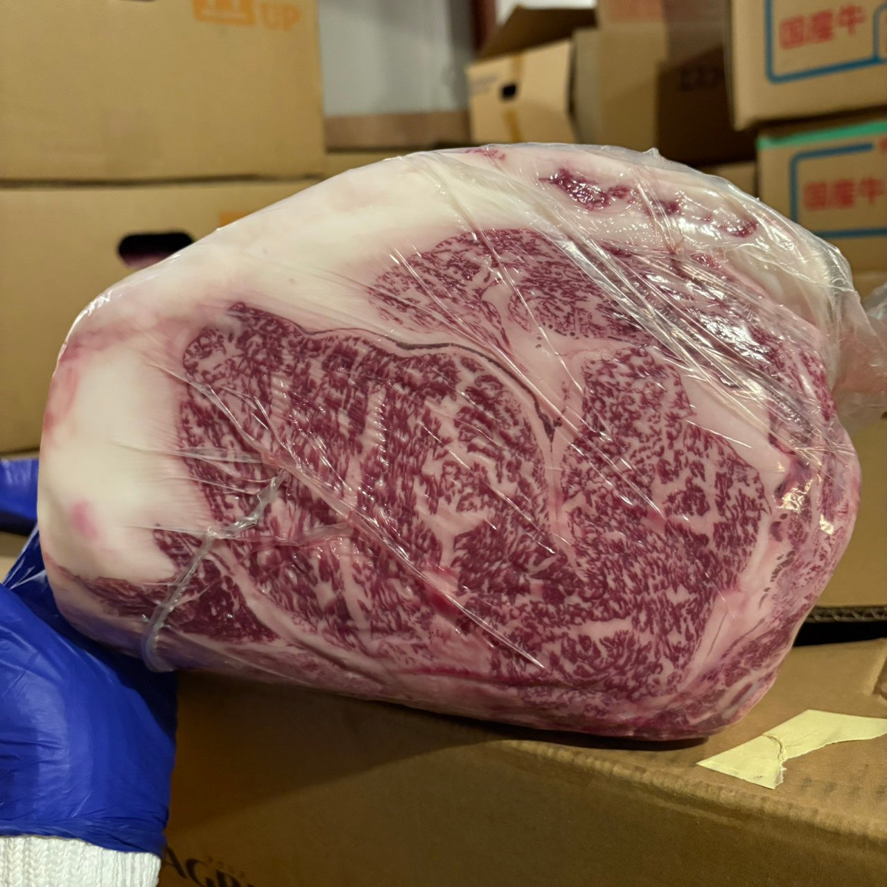 【写真現物】冷蔵 　国産交雑牛 リブロース　36左　10.1kg 　単価5,200/kg（税込）