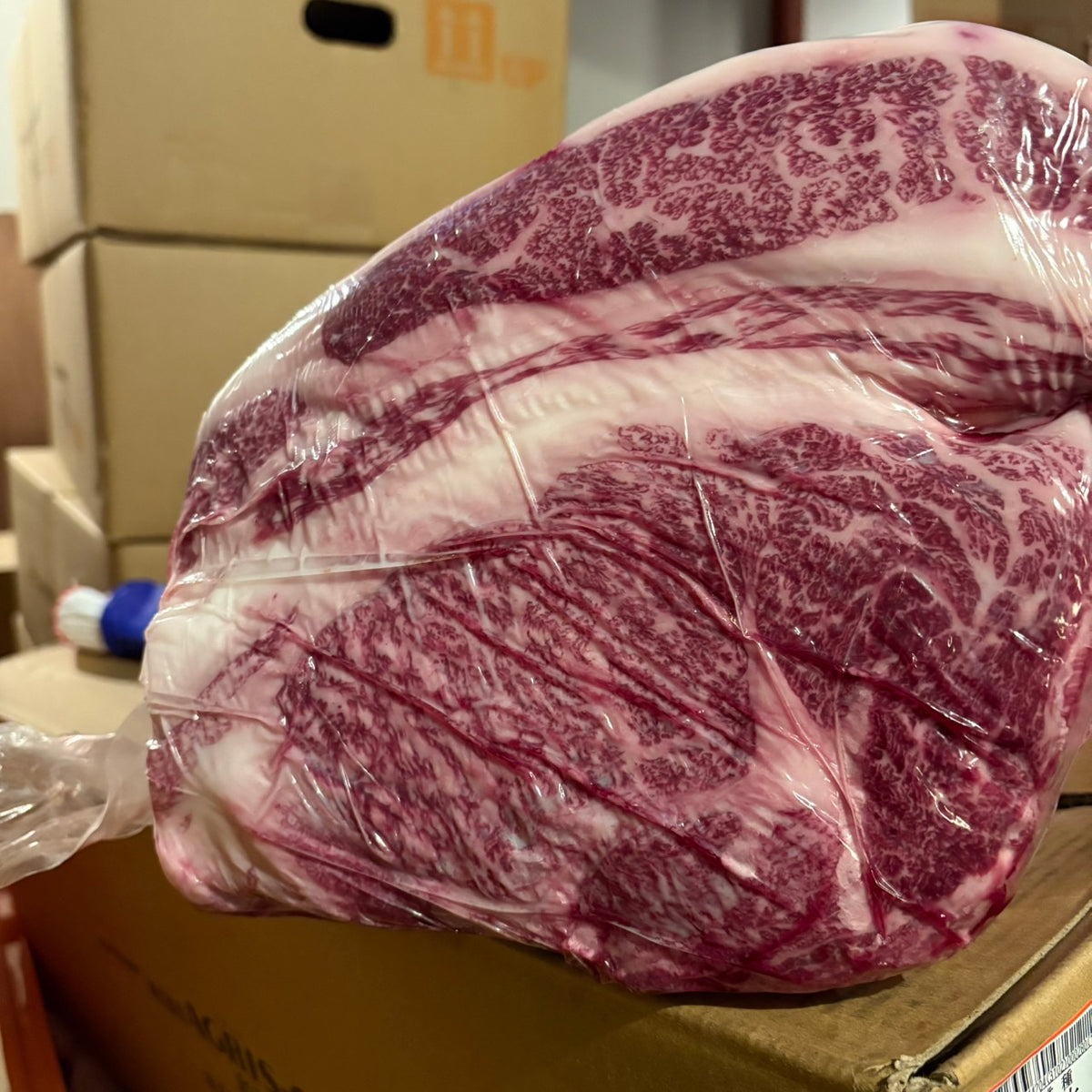 【写真現物】冷蔵 　国産交雑牛 リブロース　36右　10.1kg 　単価5,200/kg（税込）