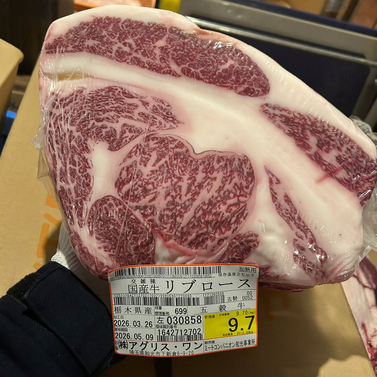 冷蔵 交雑牛リブロース 　栃木県産 　699左　9.7㎏   単価¥5100/kg 賞味期限2026/5/9