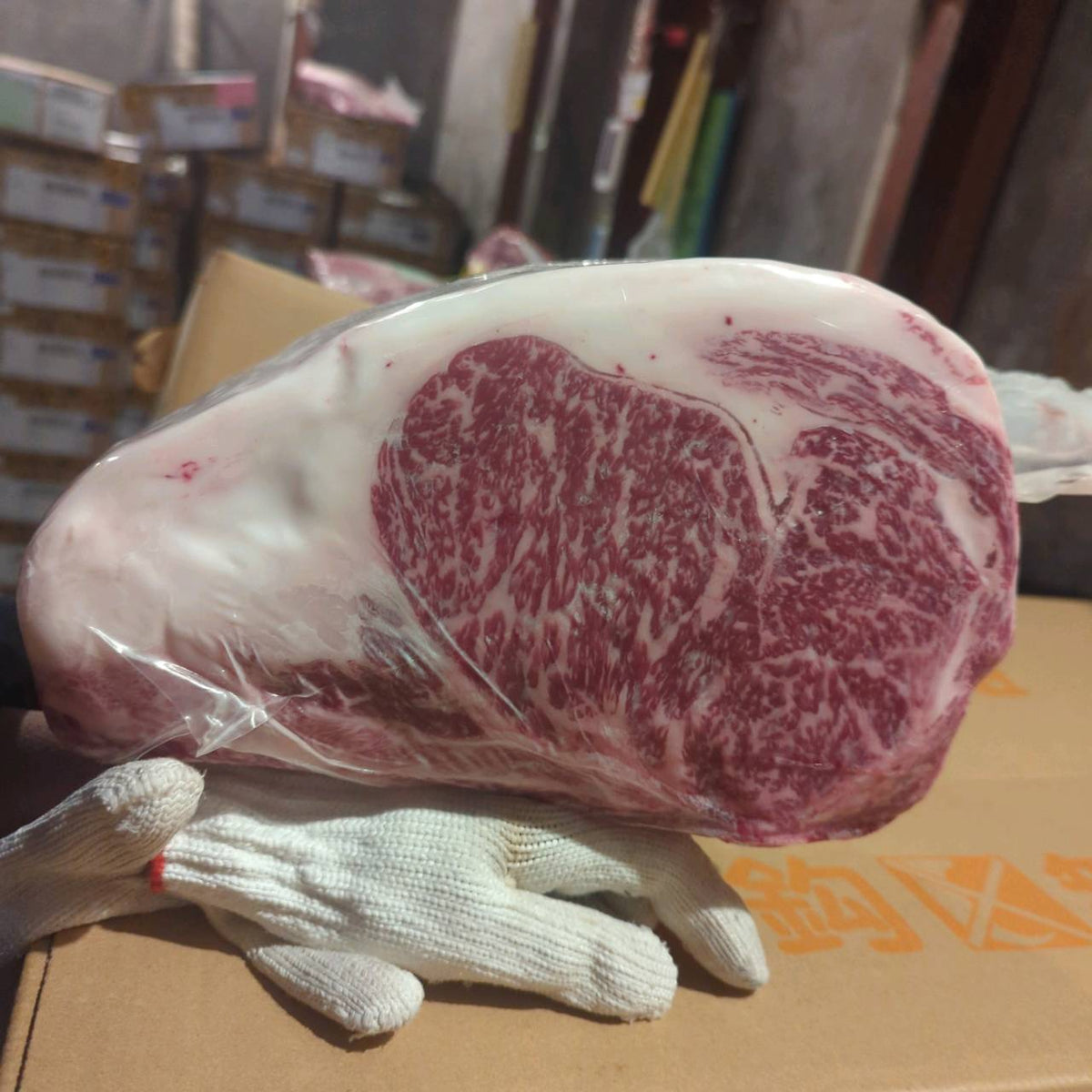 【写真現物】冷蔵 　国産交雑牛 リブロース　505左　8.3kg 　単価5,200/kg（税込）