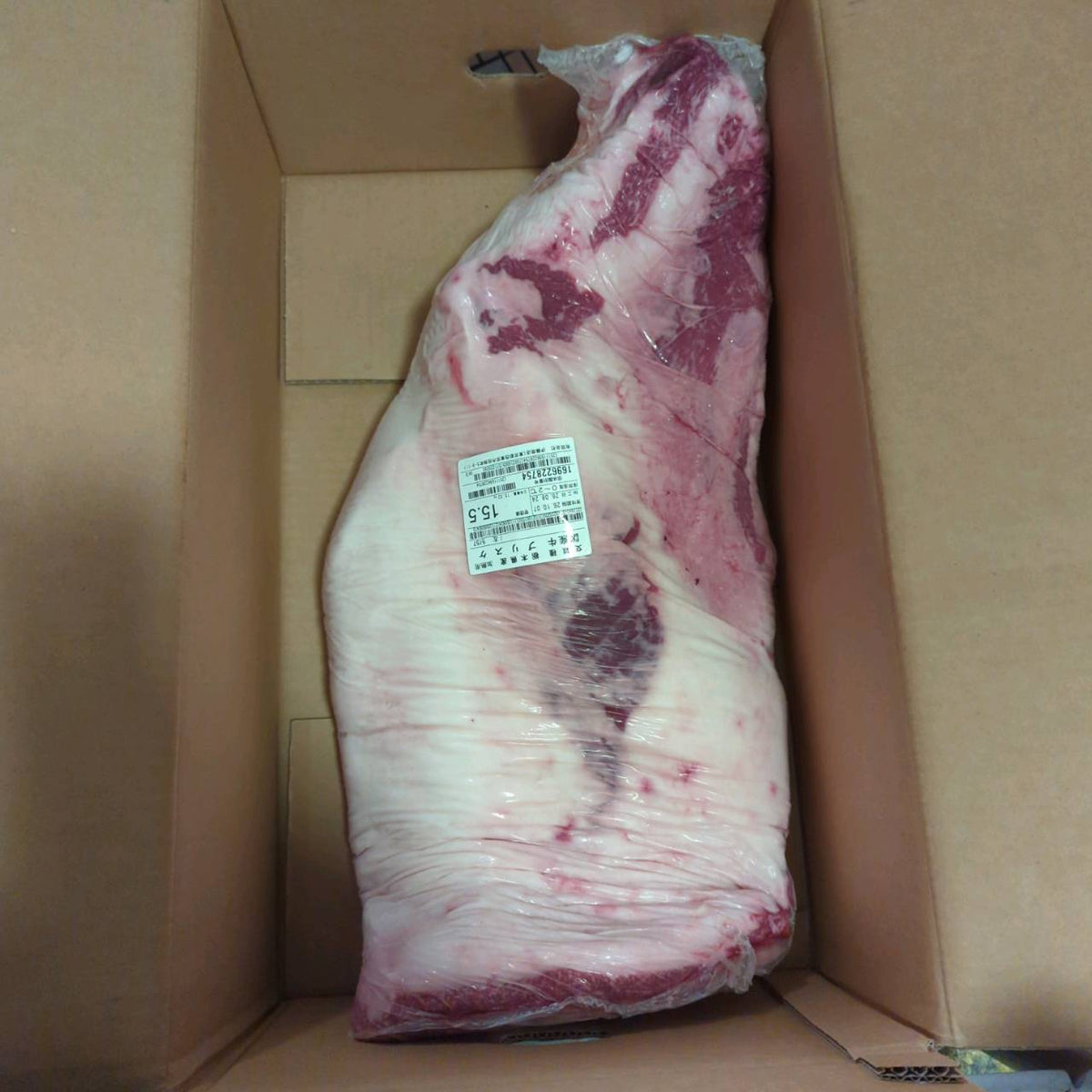 【写真現物】冷蔵 　国産交雑牛ブリスケ　4番クラス　 5157左 15.5kg 　単価2,480/kg（税込）