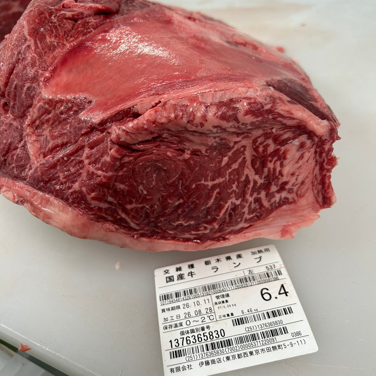 【写真現物】冷蔵 　国産交雑牛ランプ　 537左 6.4kg 　単価3,650/kg（税込）