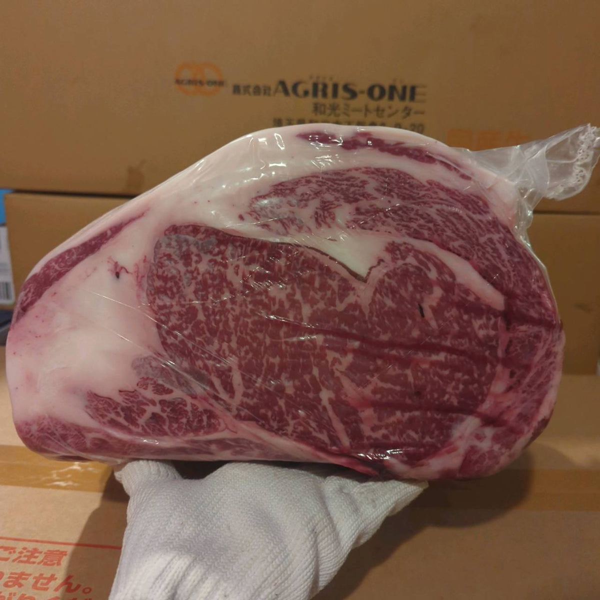 【写真現物】冷蔵 　国産交雑牛 リブロース　537左　9.1kg 　単価5,200/kg（税込）
