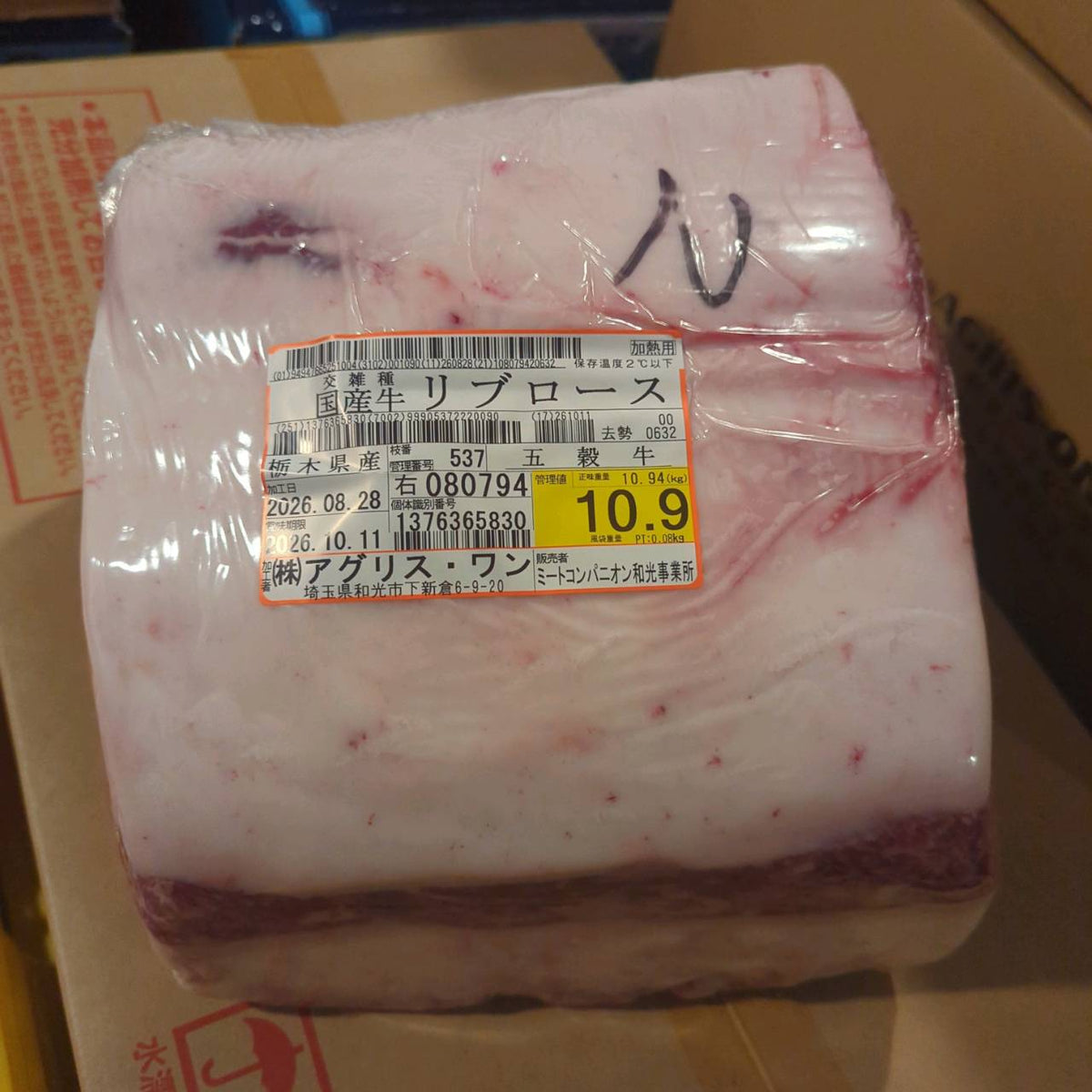【写真現物】冷蔵 　国産交雑牛 リブロース　537右　10.9kg 　単価5,200/kg（税込）