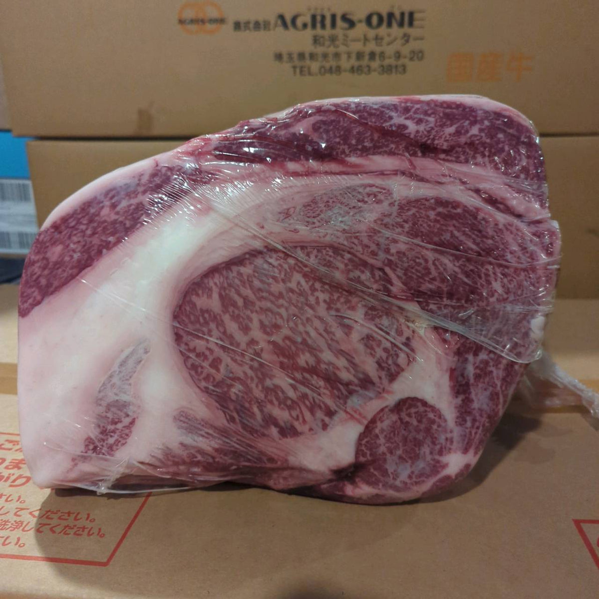 【写真現物】冷蔵 　国産交雑牛 リブロース　537右　10.9kg 　単価5,200/kg（税込）
