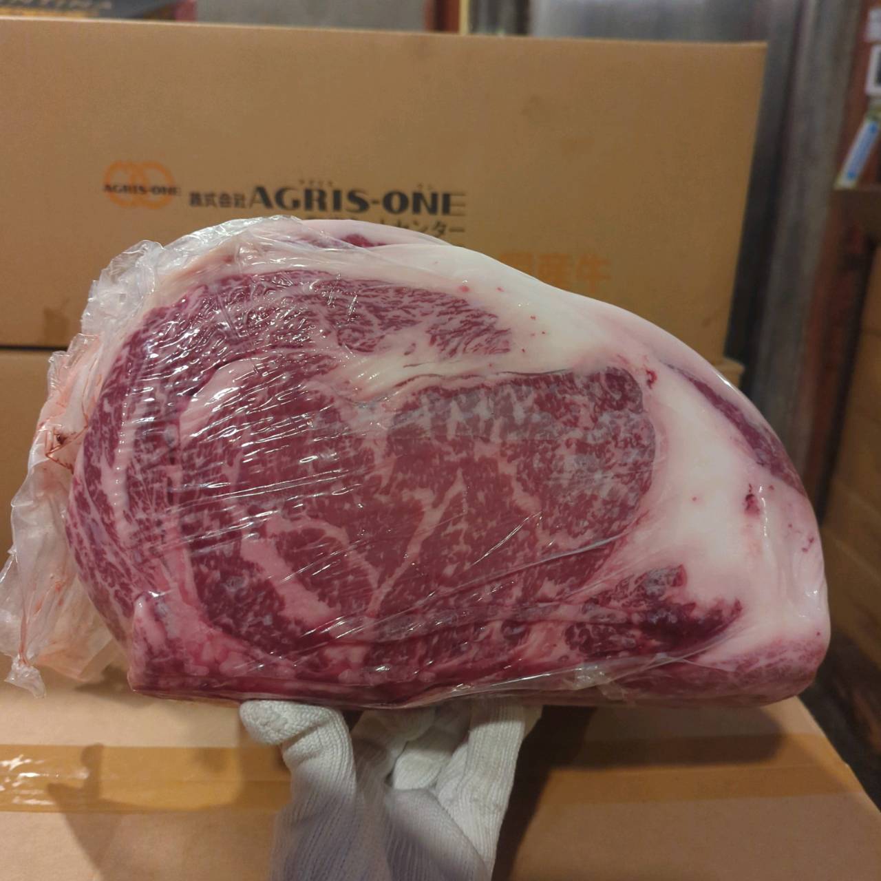 【写真現物】冷蔵 　国産交雑牛 リブロース　537右　10.9kg 　単価5,200/kg（税込）