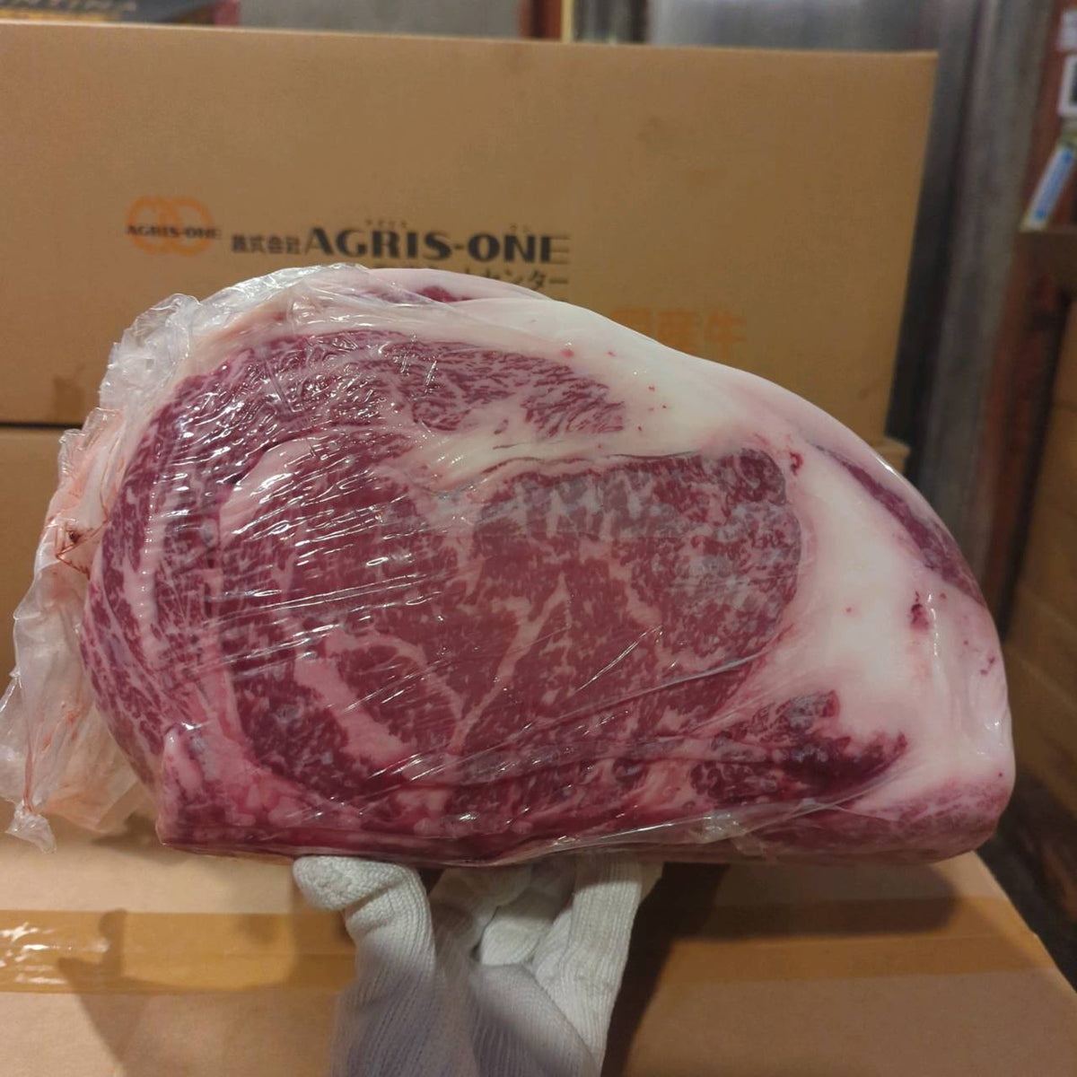 【写真現物】冷蔵 　国産交雑牛 リブロース　537右　10.9kg 　単価5,200/kg（税込）