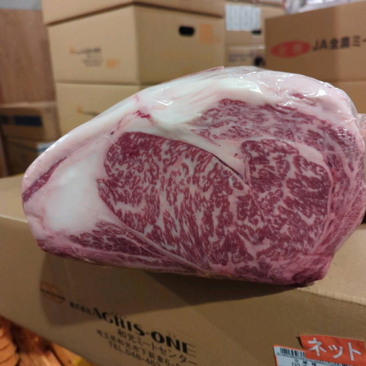【現物写真】冷蔵 国産交雑牛リブロース 埼玉県産 605左 8.3kg 単価5,500/kg（税込） 賞味期限2026年11月06日