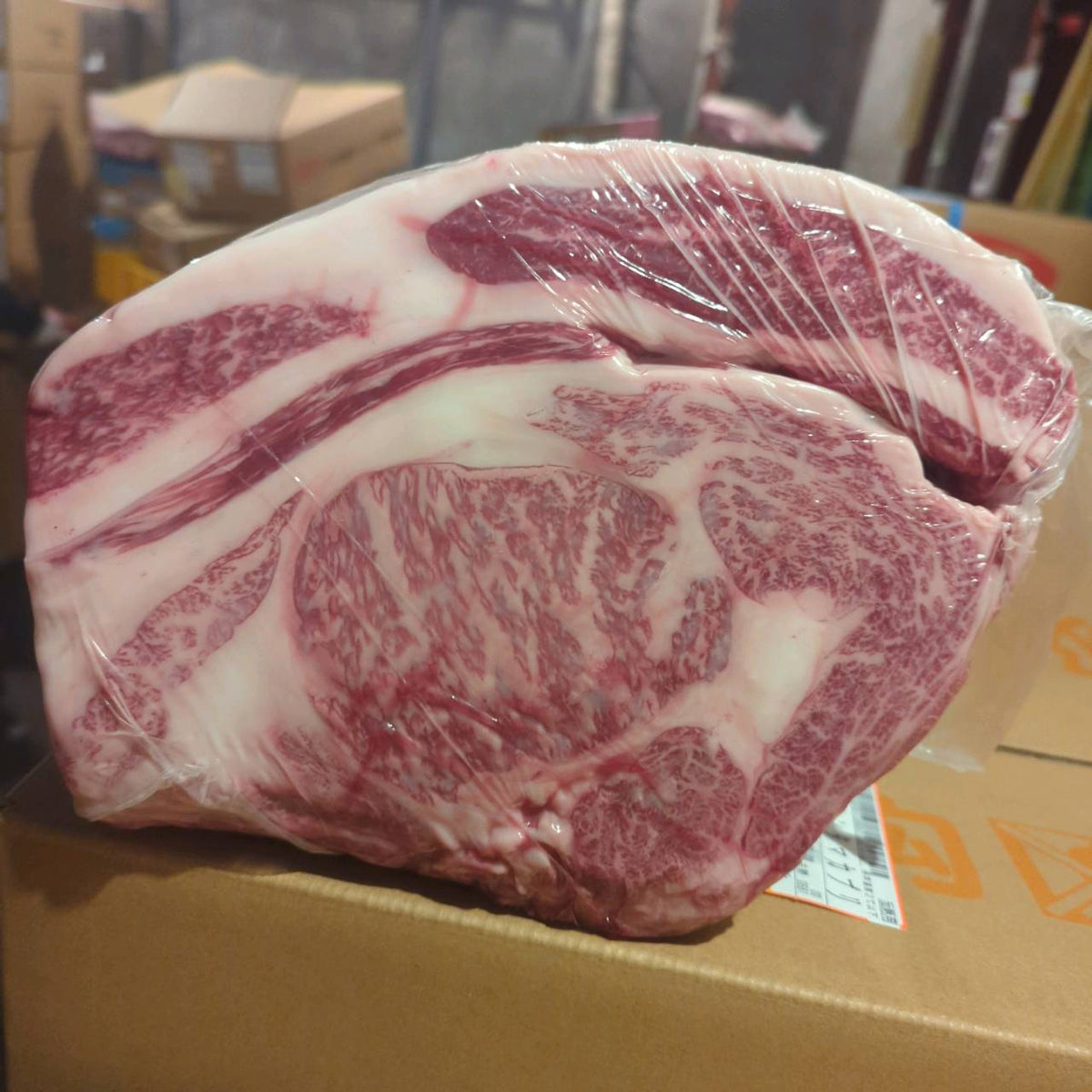 【写真現物】冷蔵 　国産交雑牛 リブロース　629右　9.1kg 　単価5,200/kg（税込）