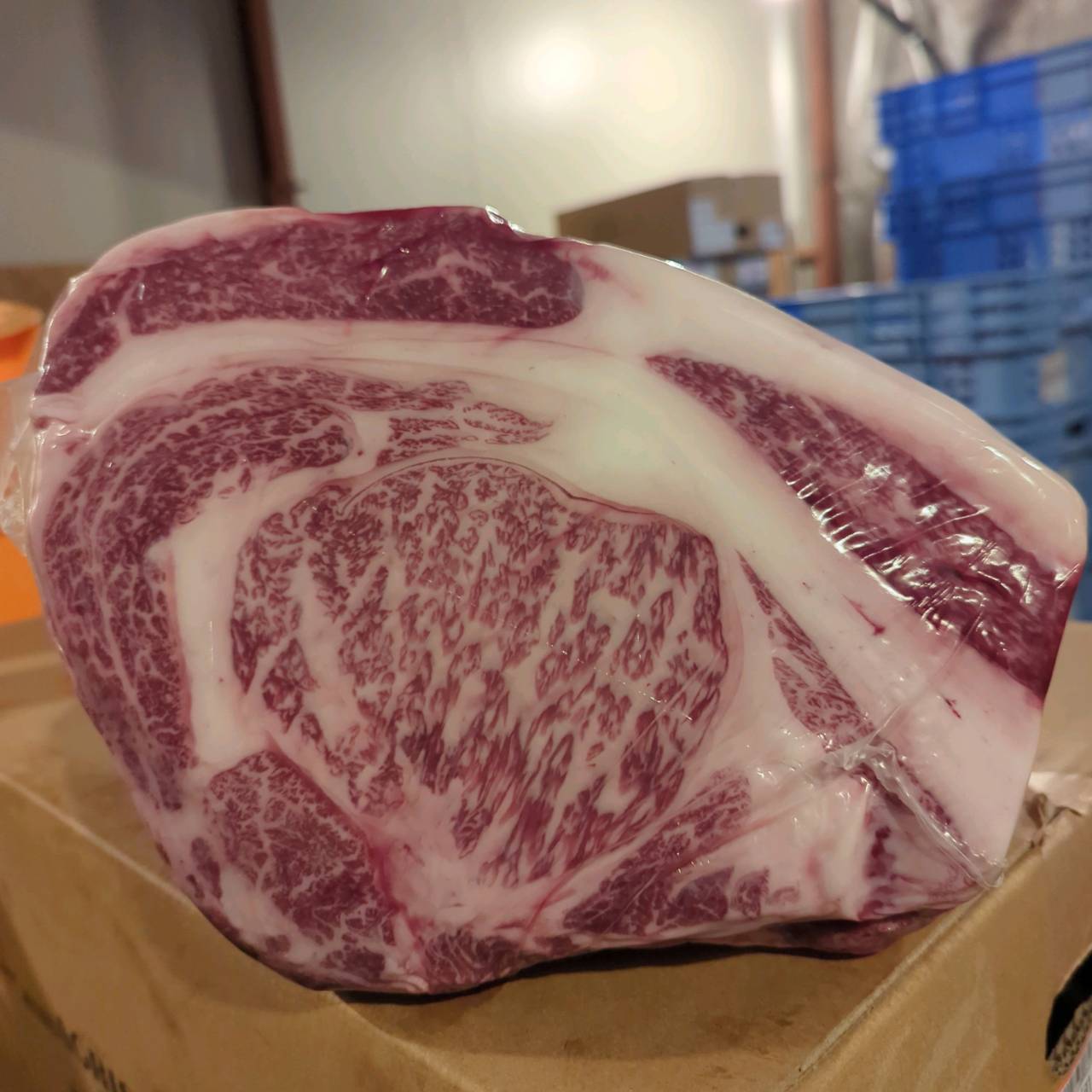 【スポットセール】冷蔵 　国産交雑牛 リブロース　 886左　8.4kg 　単価4,860/kg（税込）