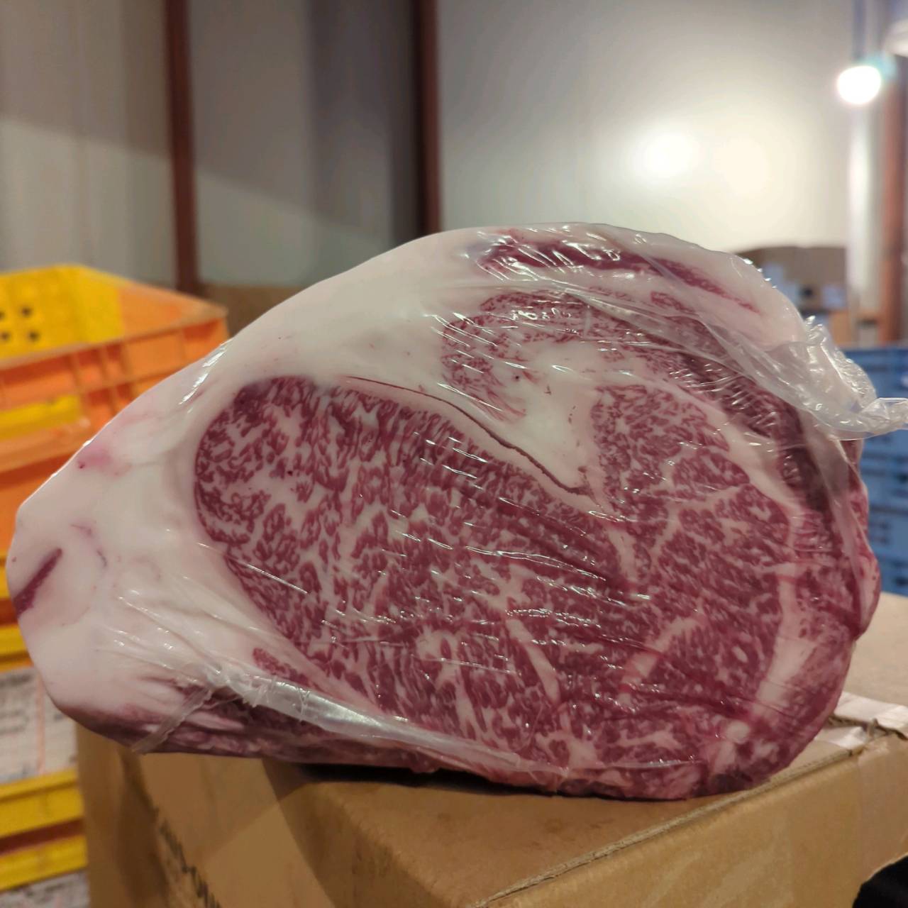 【スポットセール】冷蔵 　国産交雑牛 リブロース　 886左　8.4kg 　単価4,860/kg（税込）